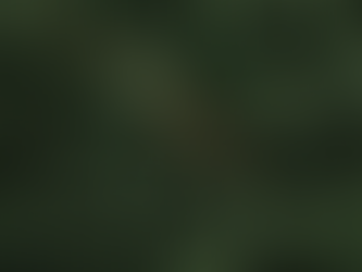 ESG & Sustainability: A Plain-English Glossary