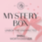 Small Mystery Box