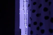 DSC00025.JPG