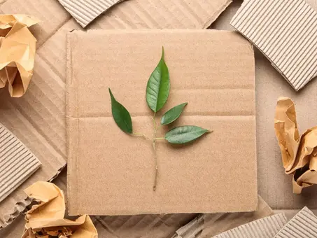 Sustainable Packaging Laws in California: A New Era for the Environment