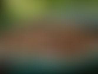 Top Waste Management Solutions for Efficient Disposal