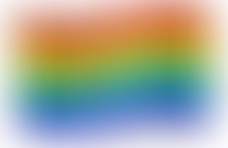 US Queer Job Justice!