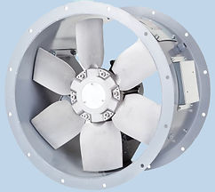 BTFM _edited_edited.jpg