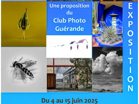 exposition série Maison du Patrimoine Mesquer