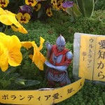 18341686_890176614455589_9121445642442966344_n