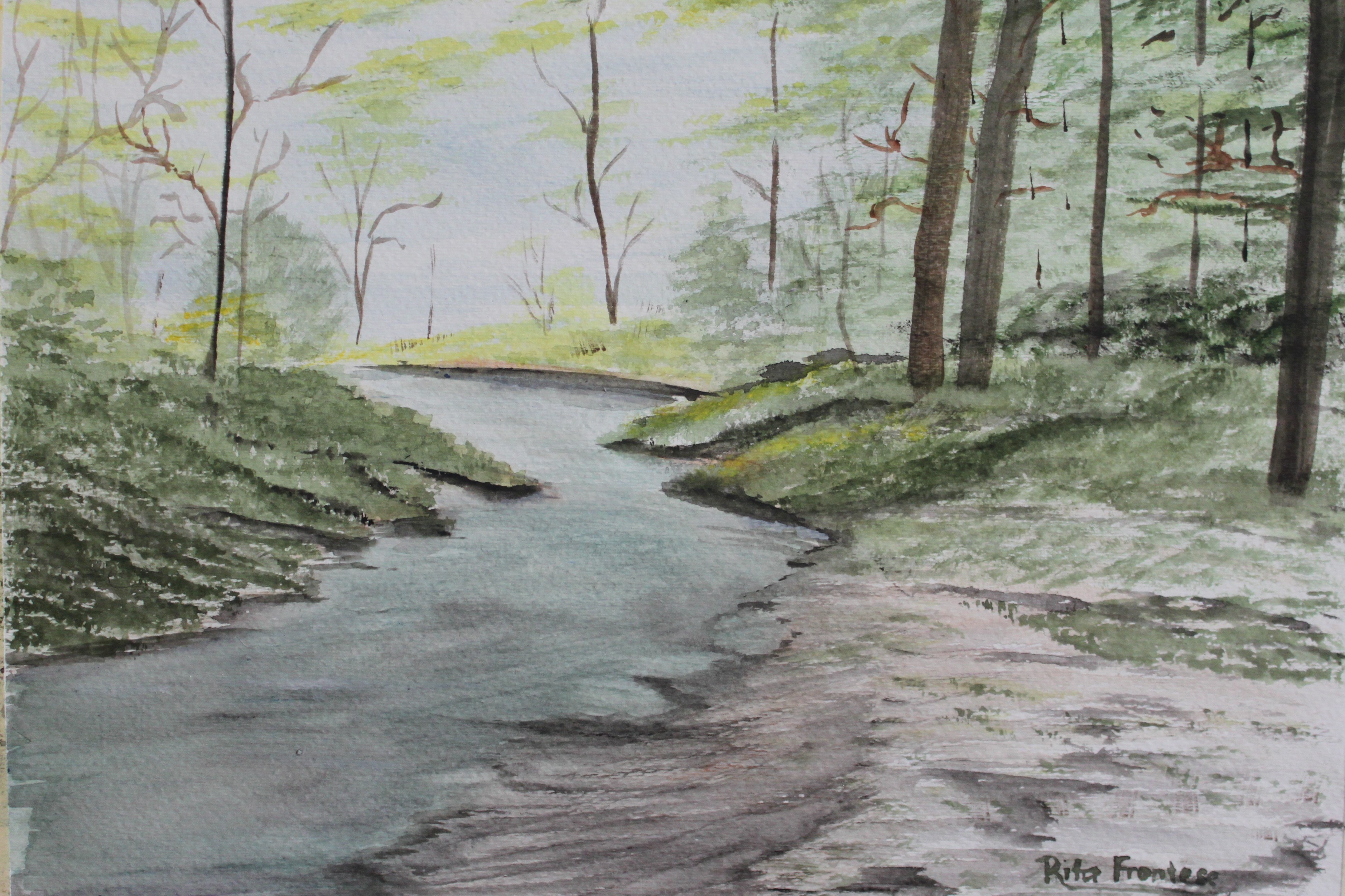 River in the forest