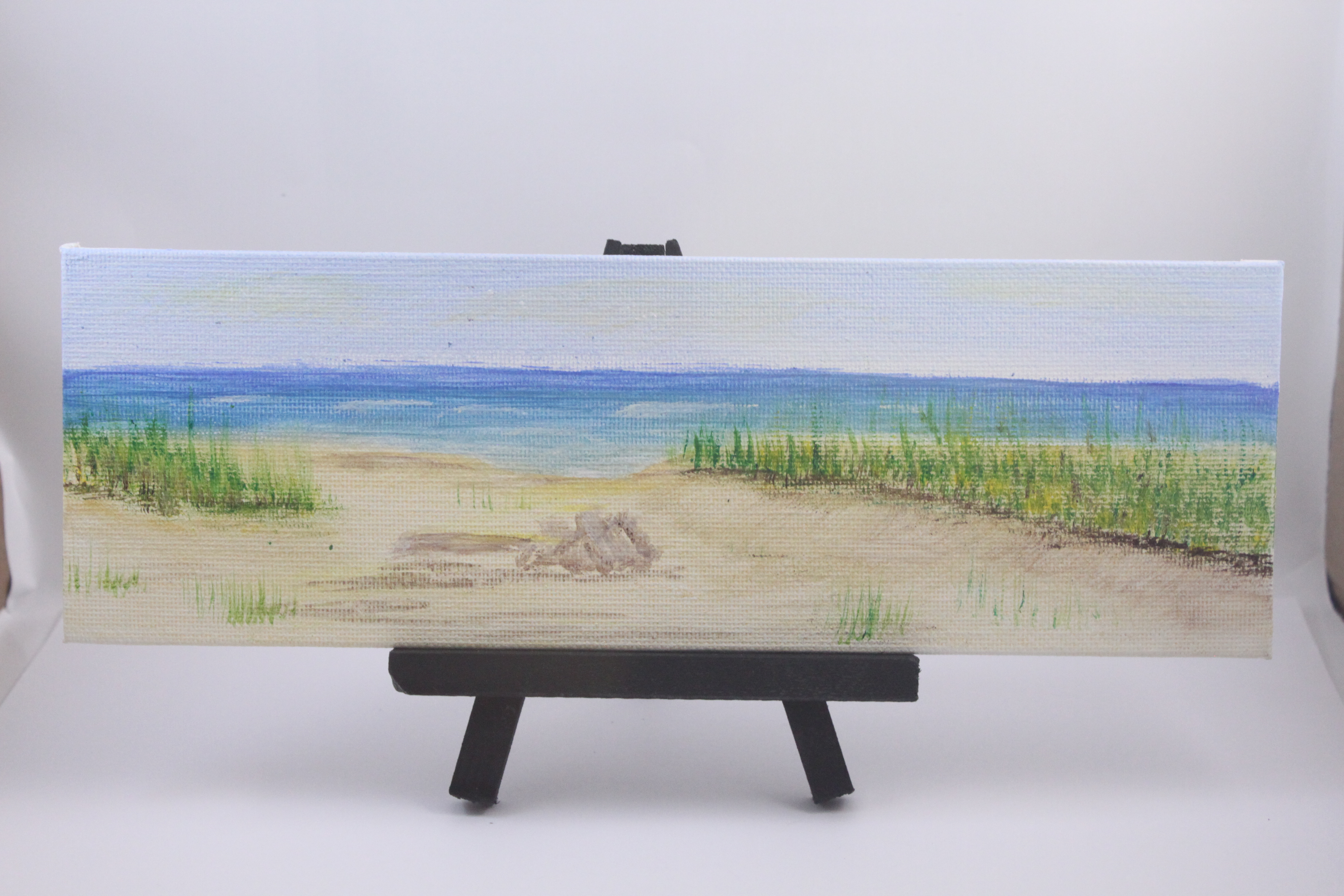 Driftwood in the sand