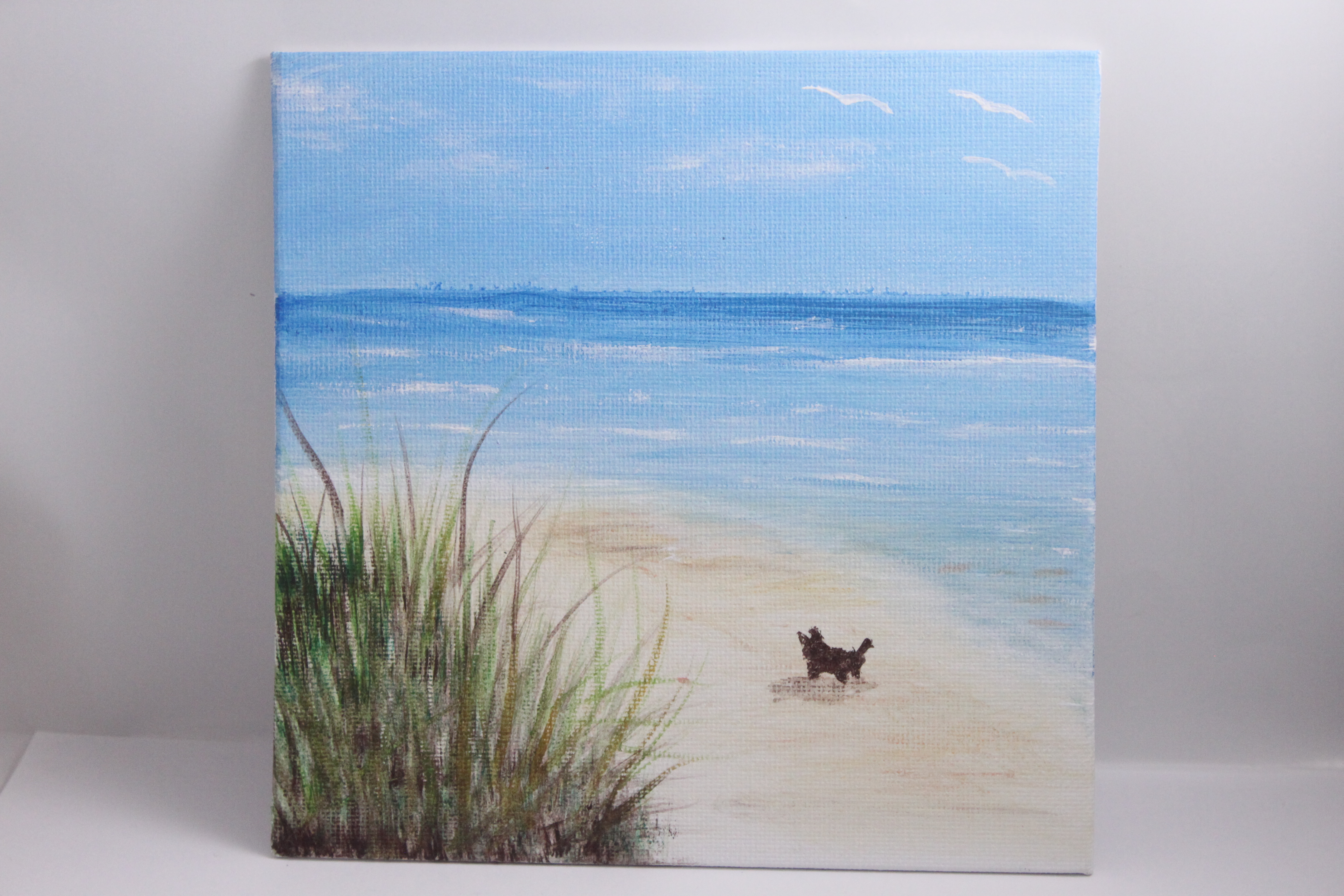 Little dog in the beach