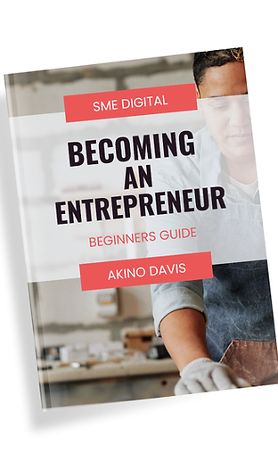 Becoming An Entrepreneur Beginners Guide