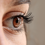 A wide range of eyelash products and services. Includes various types of eyelash extensions, magnetic and false eyelashes, and professional treatments like lash lifts and lamination. Features well-known brands such as Grande Lash MD, Kiss Falscara, and Revitalash. Also displays lash care products, including serums, conditioners, and primers, with options for enhancing lash volume, length, and appearance.