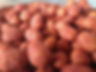 Hot Nuts