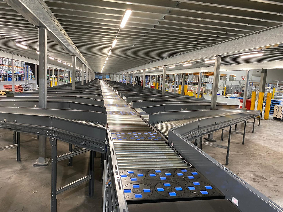 29-dld600-sorter line (1).jpeg