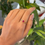 Thumbnail: Natural Ruby and diamond 18K gold ring