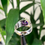 Miniature : Amethyst ring