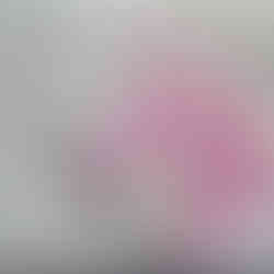 This series explores the language of color through the horse, transforming it beyond reality. Pink with white dots, saturated floral layers, or blue motifs inspired by Portuguese tiles reimagine its presence. Through color, the horse becomes a vessel of emotion, memory, and interpretation.