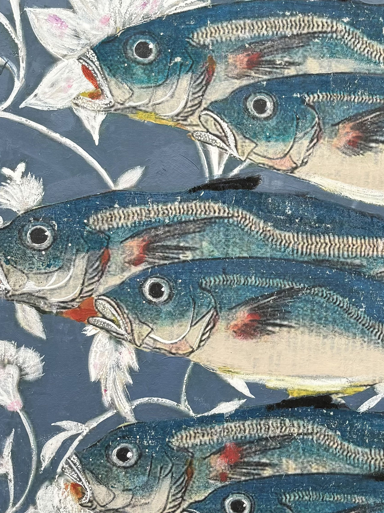 blue fishes