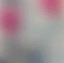 This series explores the language of color through the horse, transforming it beyond reality. Pink with white dots, saturated floral layers, or blue motifs inspired by Portuguese tiles reimagine its presence. Through color, the horse becomes a vessel of emotion, memory, and interpretation.