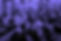 R0011899_edited.jpg