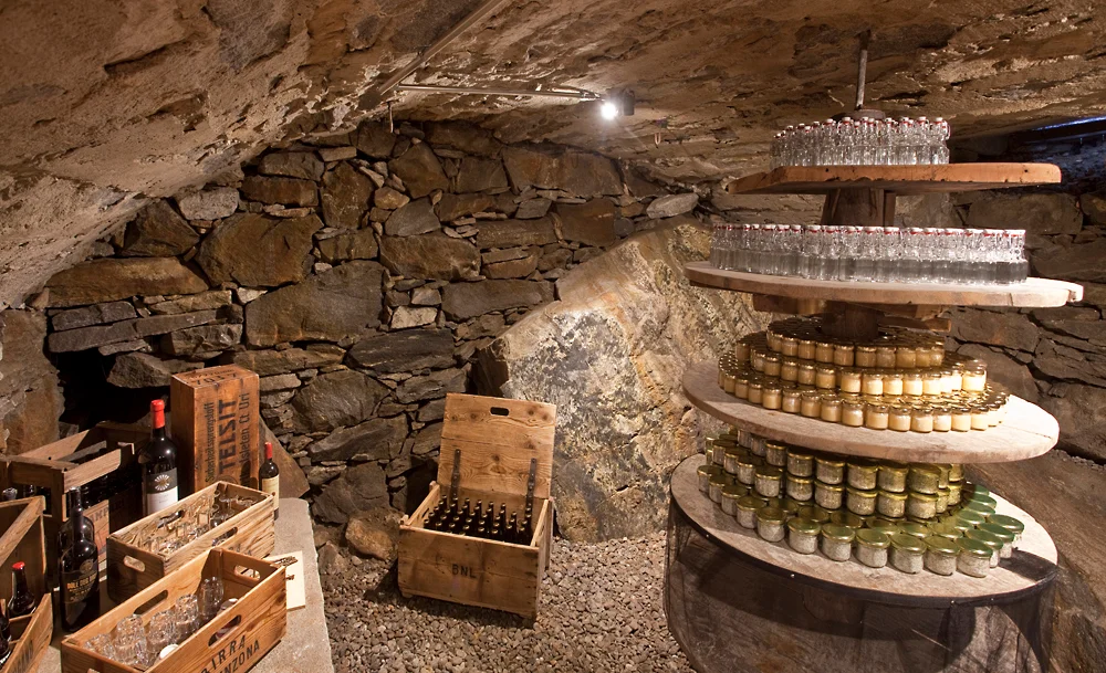 cantina.webp