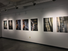 Komqwejwi'kasikl exhibition photos