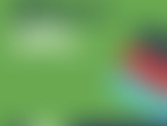 Green background with "No one gives a Chit" on it in navy and white text