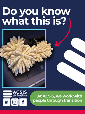Poster with fuzzy cream cleaning mitt in a car, red arrow, text Do you know what this is? ACSIS supports people through transition