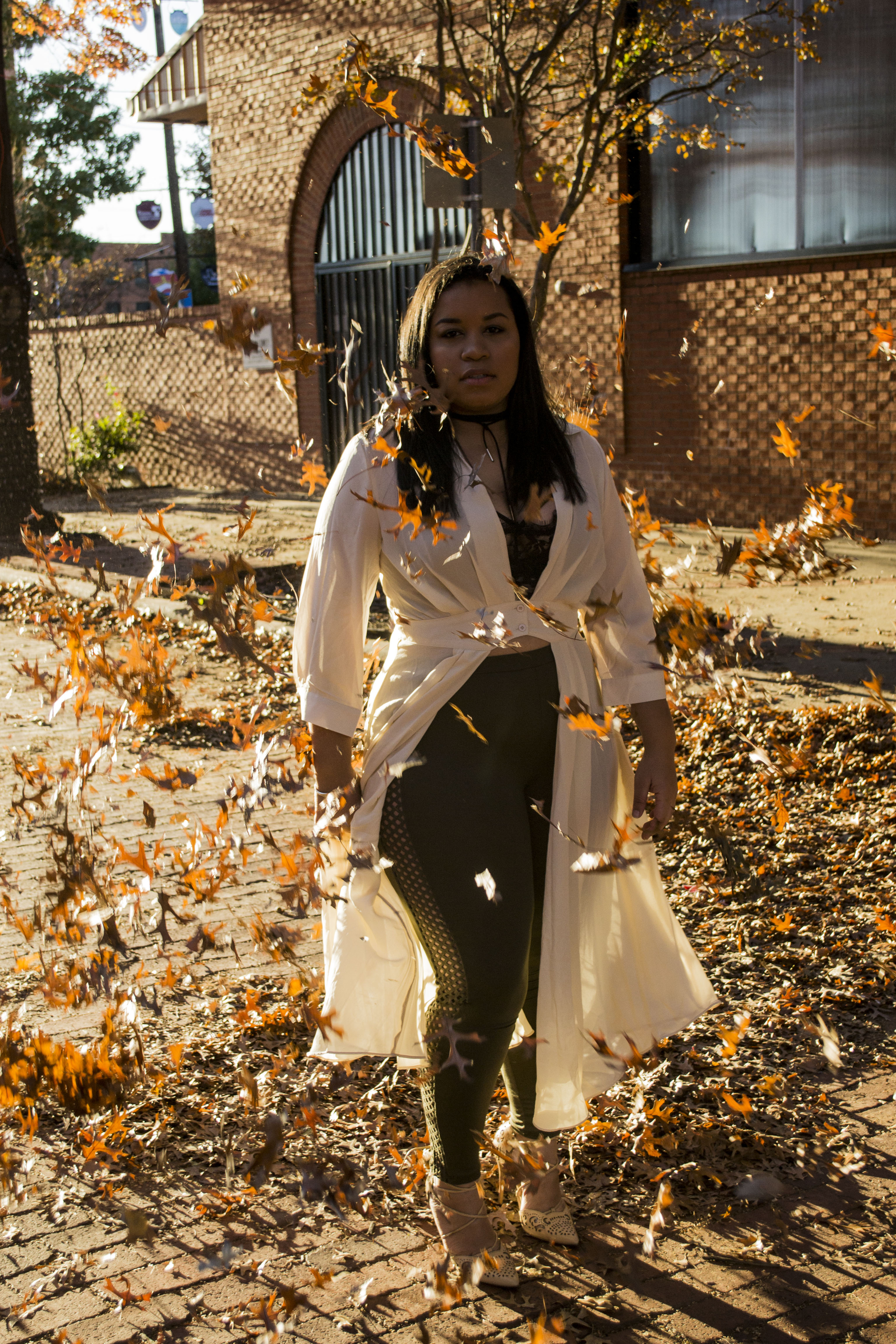 Fall