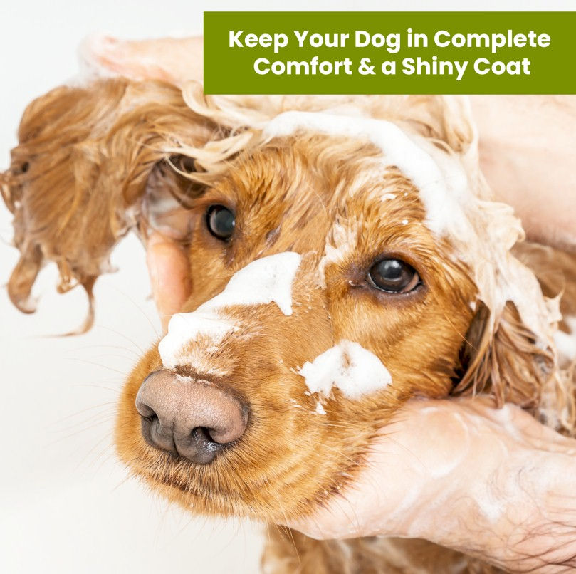 Thumbnail: Aroma Paws Organic Olive Oil Shampoo