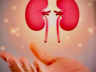 CKD 👉🏿 a problem of chronic sympathetic activation and parasympathetic suppression: how to avoid it!