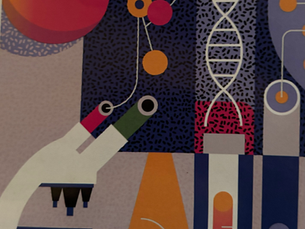 “Normal” lab values aren’t always normal for CKD physiology