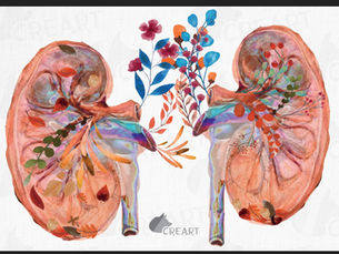 RENAL DETOXICOLOGY: what about fluoride ??