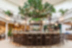 The Botanist, Bath Virtual Tour