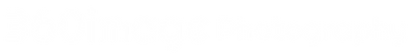 360image Logo WHITE.png