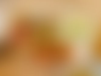 【新登場】11月ランチメニュー
