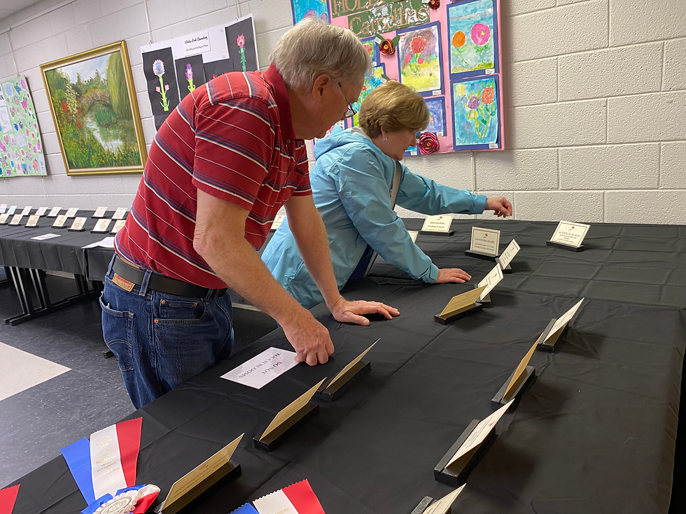 IMG_20260301_163713 (12)