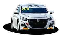 Stage de pilotage Peugeot 208 TC6