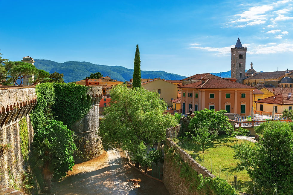 sarzana.jpg