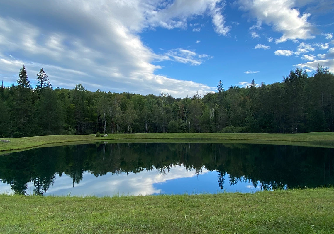 Vermont Pond August 2020.jpg