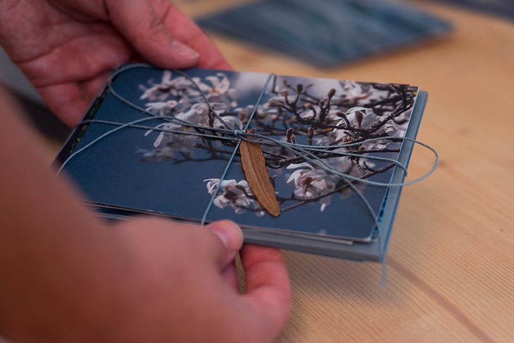 Windflug ©HeimatUnternehmen Johanna Zach.jpg