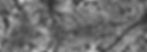 Quartz_CL Image_Wolf Deposit_edited.jpg