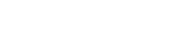 logo blanco.png