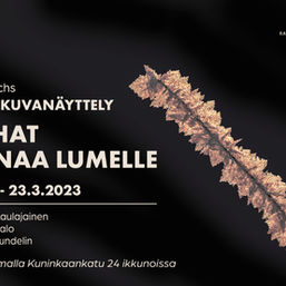 Four days to my photo exhibition in Rauma, Finland