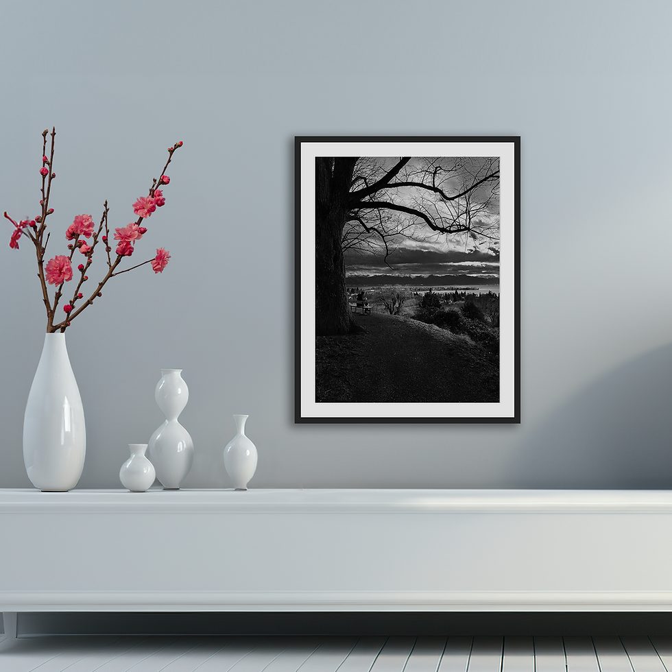 Thumbnail: Black and white fine art photograph of a man taking a break under a large tree on a hill overlooking Lake Constance, Germany.