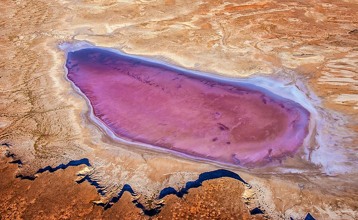 lake eyre 2.jpg