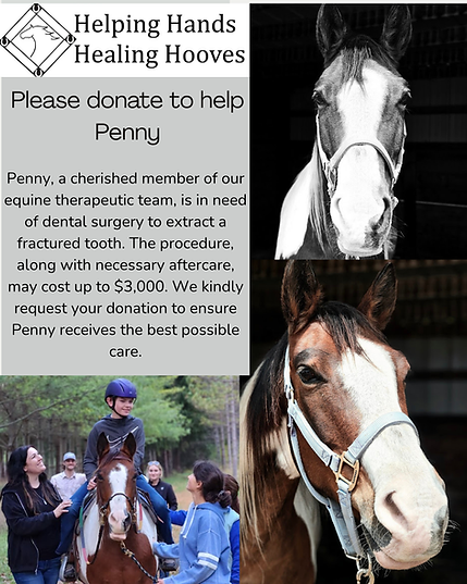 Grey and White Minimalist Charity Donation Instagram Post.png