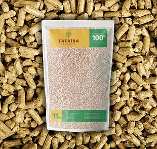 promovel sem fundo (3).jpg