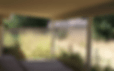 backyard_b.gif