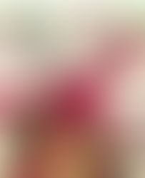 BIBLIO-BALADE, 1ère édition !