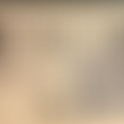 «Гетьманська трійця» у небі Америки