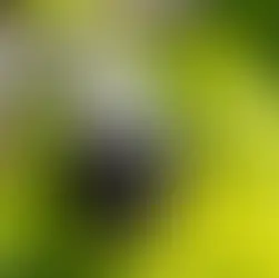 Güvenlik Sistemleri Hakkında Bilmeniz Gereken Her Şey